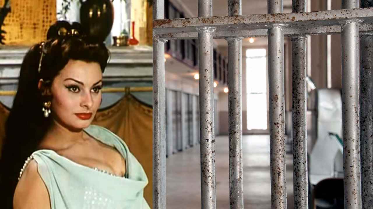 arrestata sarta sofia loren