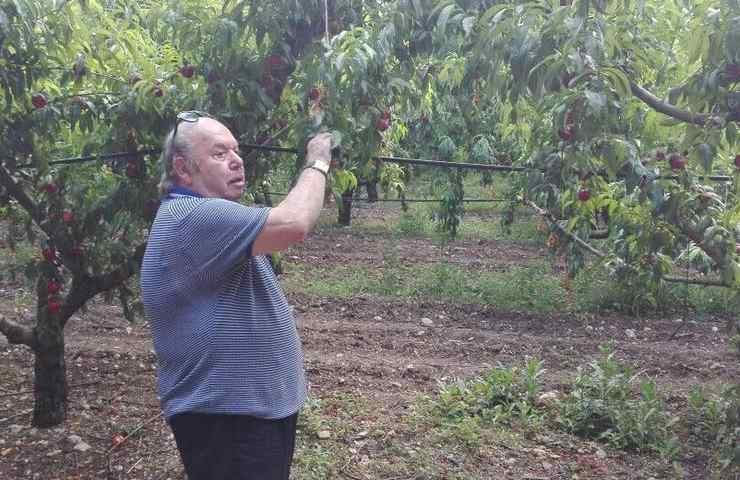 Lino Banfi un medico in famiglia 