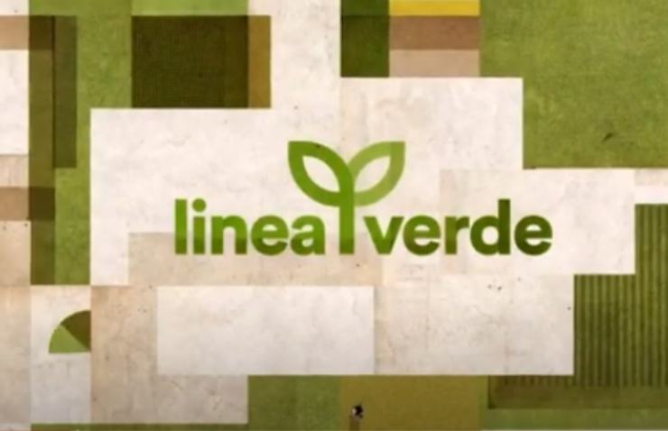 Rai logo Lineaverde