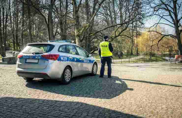 Aggressione cinghiale