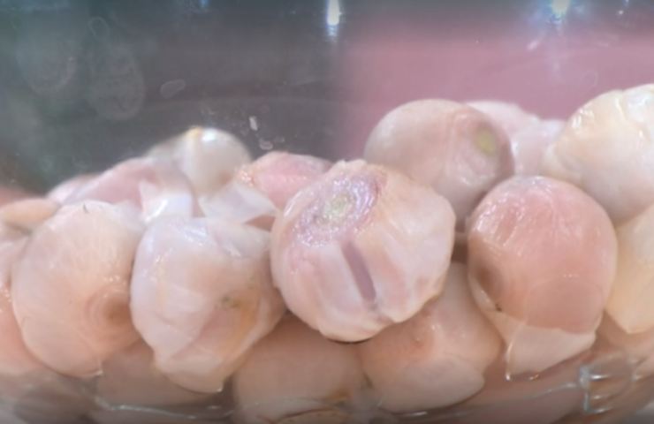 Lampascioni ortaggi