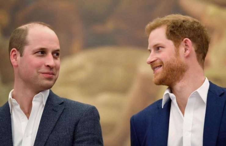 Harry contro William