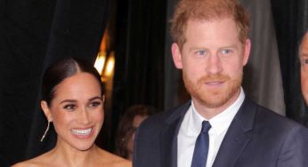 Harry e Meghan: emergono nuovi dettagli dal Palazzo