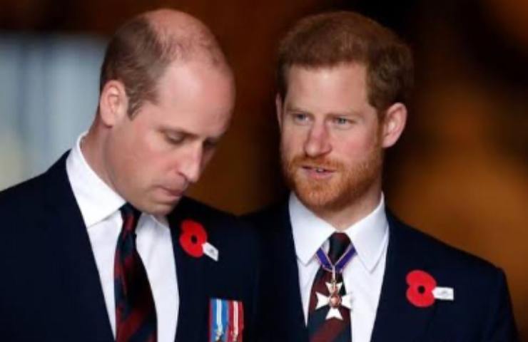 Principi William ed Harry