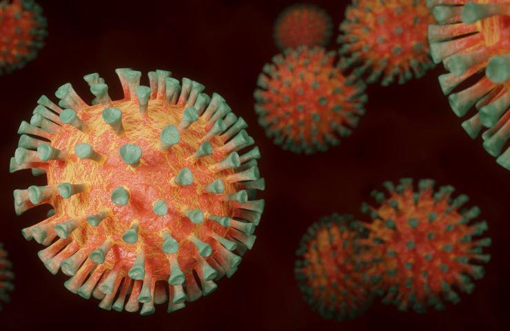 Unione Europea, allerta pandemia aviaria 