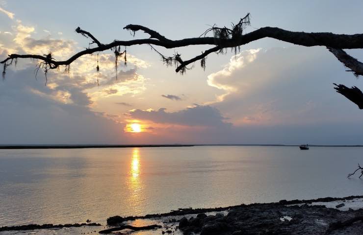 Cumberland Island, paradiso terrestre