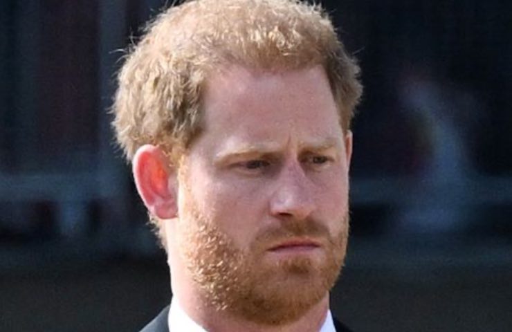 Harry e Meghan, perdita titolo