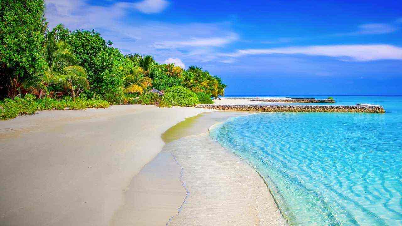 Cumberland Island, paradiso terrestre