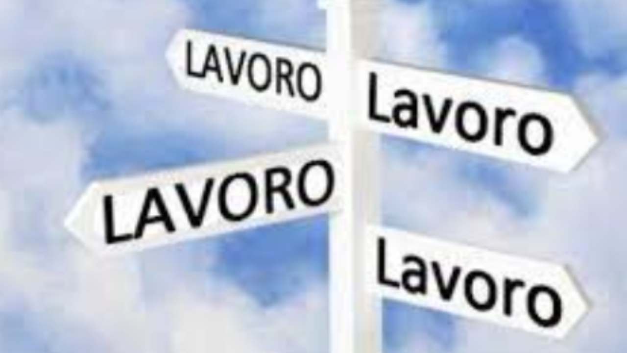 Offerta di lavoro