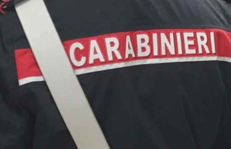 Carabinieri in azione 