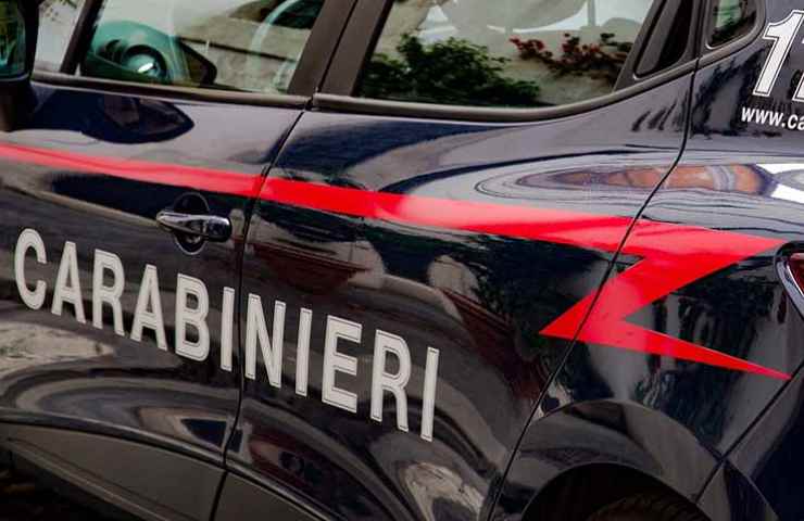 Carabinieri in azione 