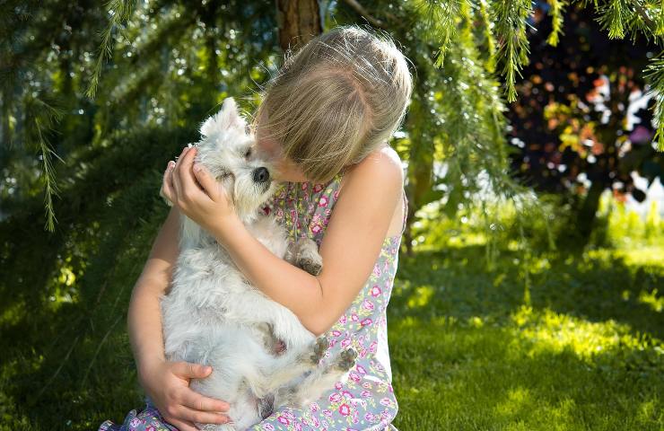 I segnali con cui il vostro cane vi dimostra affetto e amore