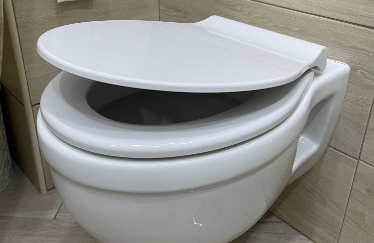 pulizia profonda dello scopino e del wc
