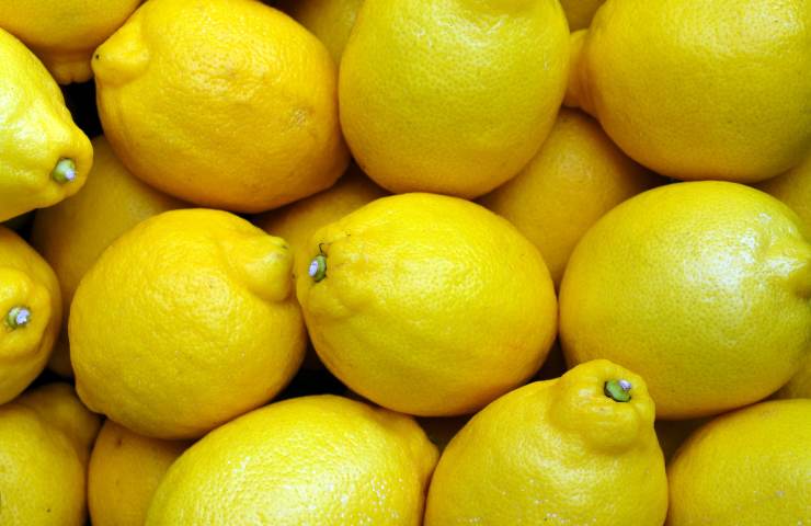 I rimedi sorprendenti di due limoni bolliti