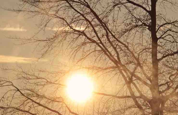 Caldo record gravi rischi salute consigli esperti