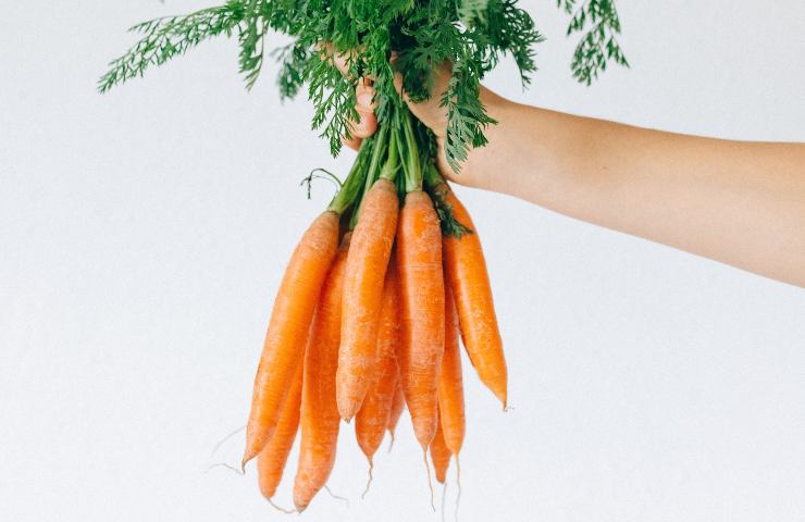 i benefici delle carote crude