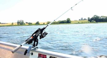 Lascia incustodita la canna da pesca: quello che accade dopo è incredibile